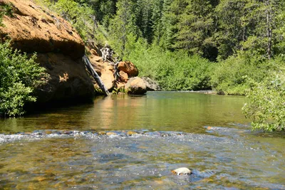 DSC_0223 (Large).JPG